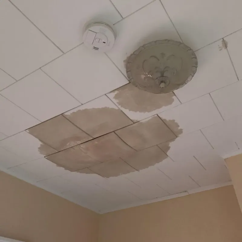Ceiling Water Damage Repair in Pecan Grove, TX