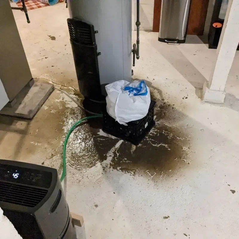 Sewage Backup Cleanup Service in Pecan Grove, TX